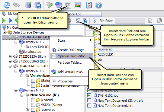 Open Hard Disk Using Recovery Explorer View