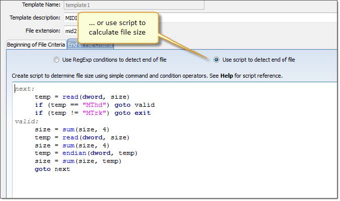 Custom file signature size script. Active@ UNDELETE