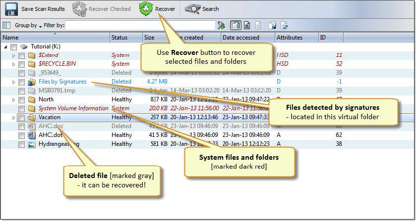 Volume scan result view. Active@ UNDELETE