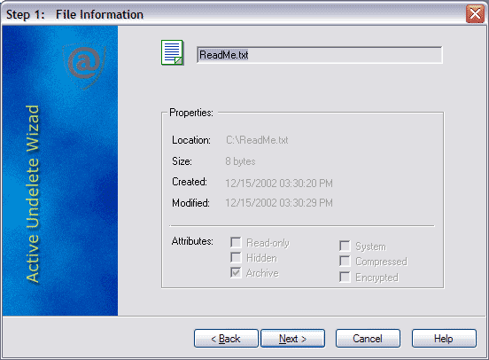 File Information Screen