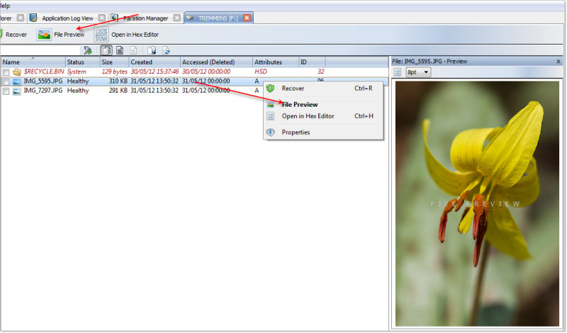 File Preview File Preview