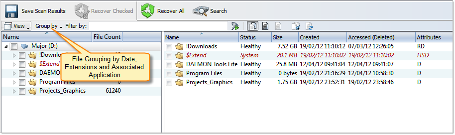 File grouping in Volume Scan Result